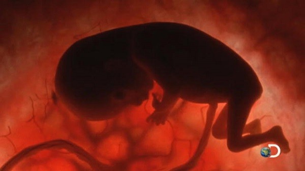 Vòng luân hồi: Tìm lời giải chuyện có một hay nhiều... kiếp sống 9 Vòng luân hồi: Tìm lời giải chuyện có một hay nhiều... kiếp sống 9