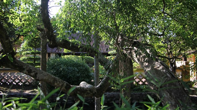 Bên trong nhà lưu niệm cố Tổng bí thư Trường Chinh - 14