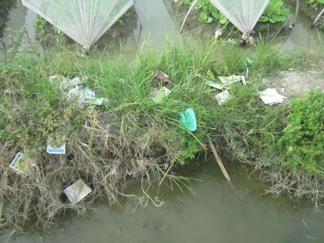 Cận cảnh rau sạch “tắm” những loại thuốc cực độc - 7