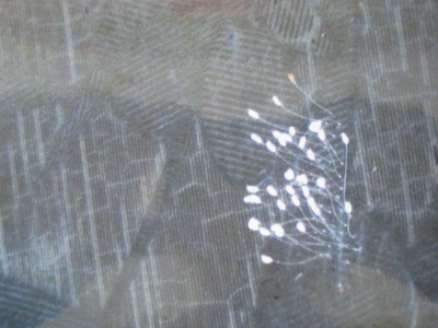 2011_3_24_img_4247--ss