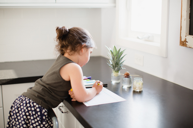 Tập trồng hành lá, dứa, bơ đơn giản trong cốc tại nhà - 3