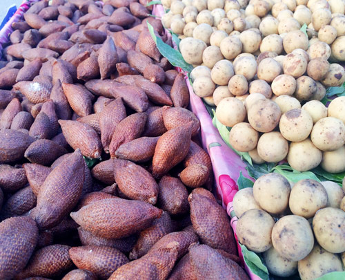 Mây Thái hút khách vì lạ - 3