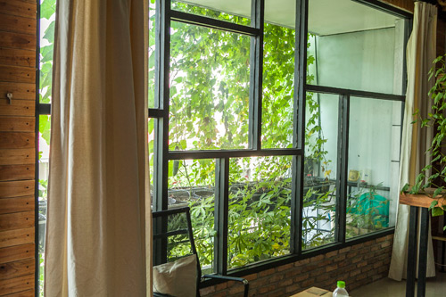 TP.HCM: Văn phòng cho nhân viên thỏa thuê trồng rau sạch - 10