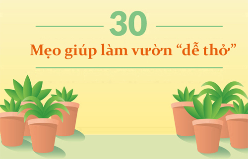 30 mẹo vặt giúp bạn làm vườn “dễ thở” hơn (phần 1) - 1
