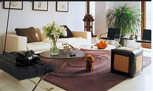 Tài sản kếch xù của 5 ông bố toàn năng Trung Quốc - 7