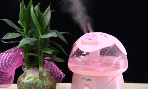 Cách chọn, sử dụng máy tạo độ ẩm hiệu quả - 1