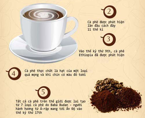 32 sự thật bạn chưa biết về cà phê - 2