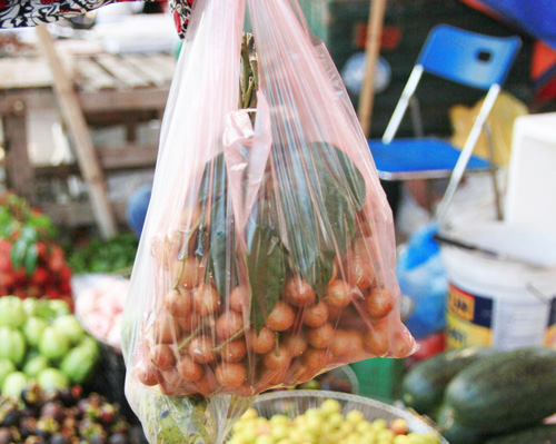 Hà Nội thơm ngon quất hồng bì - 10