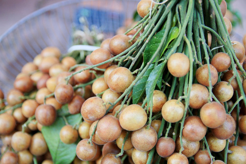 Hà Nội thơm ngon quất hồng bì - 4