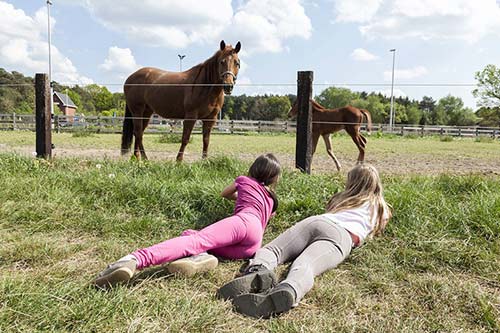 Cuộc sống phía sau của cặp vợ chồng là diễn viên phim cấp 3 - 9