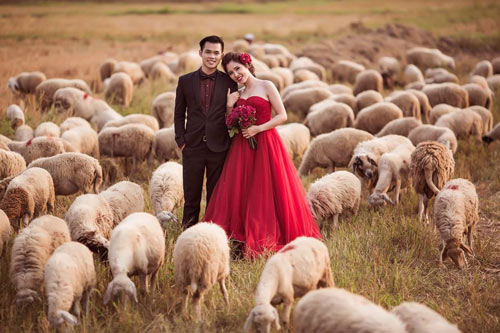 Chuyện tình của cặp đôi bao lần khóc vì nhau - 1