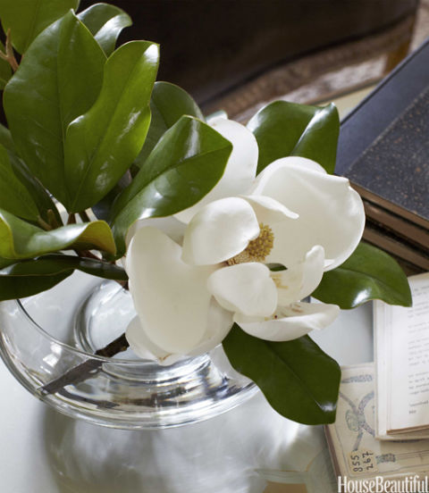 8 sai lầm thường gặp khiến hoa cắm nhanh úa tàn - 1