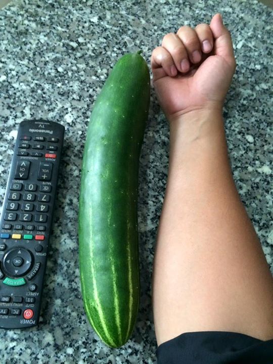 Vườn ban công 1.5m2 cho rau mơn mởn, dưa chuột 0.7 kg - 16