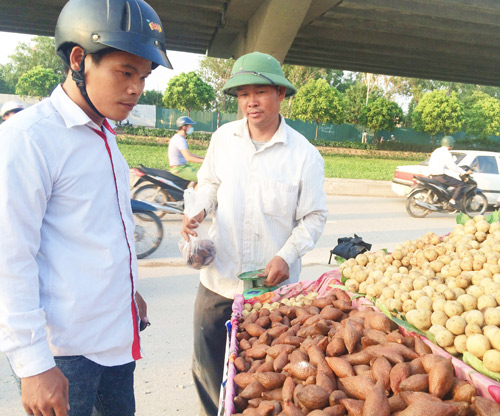 Mây Thái hút khách vì lạ - 1