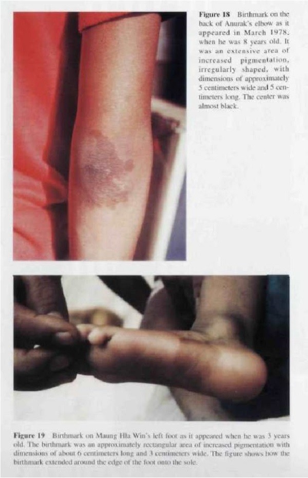 Vòng luân hồi: Tìm lời giải chuyện có một hay nhiều... kiếp sống 10 Vòng luân hồi: Tìm lời giải chuyện có một hay nhiều... kiếp sống 10