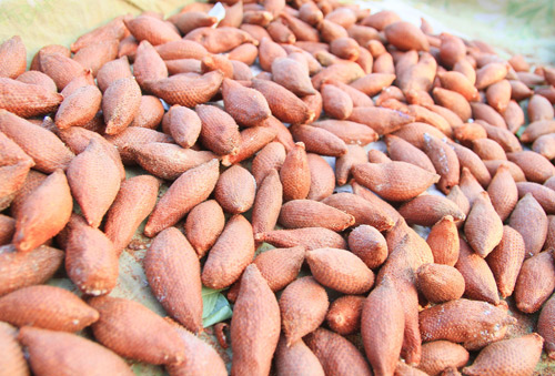 Mây Thái hút khách vì lạ - 6