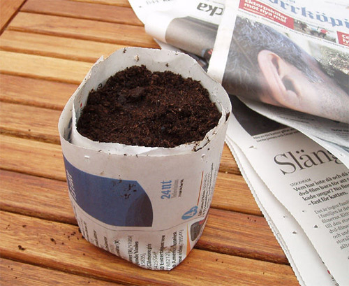 Trồng cây gieo hạt bằng giấy báo cũ thật tiện dụng - 8