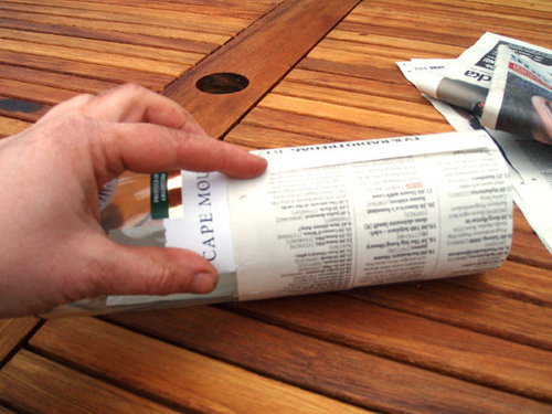 Trồng cây gieo hạt bằng giấy báo cũ thật tiện dụng - 3