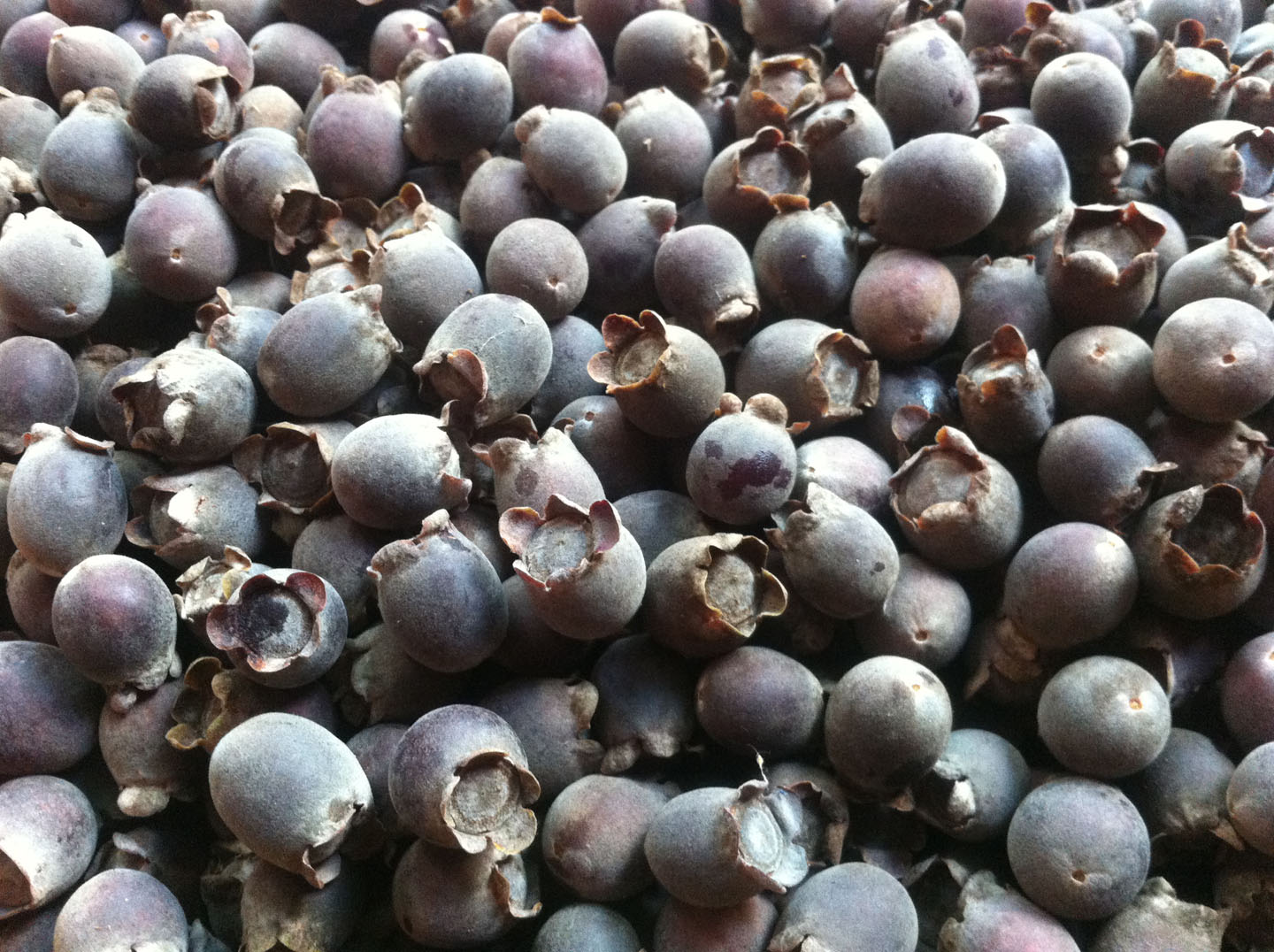 Quả lạ núi rừng tràn xuống phố "lấy lòng" chị em - 4