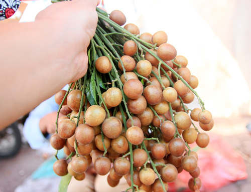 Hà Nội thơm ngon quất hồng bì - 9