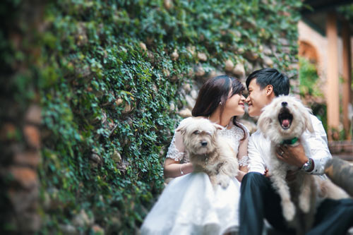 Bộ ảnh cưới với cún cưng của cặp đôi Đà Nẵng - 13