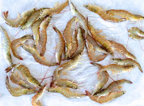 Miến hấp tôm thơm ngon, lạ miệng - 1