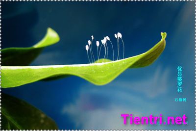 2011_6_16_9IMG_7925-ss31