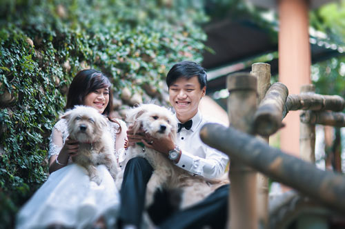 Bộ ảnh cưới với cún cưng của cặp đôi Đà Nẵng - 14