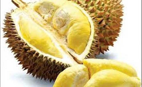 Ăn sầu riêng uống coca gây tử vong: Không có cơ sở khoa học - 2