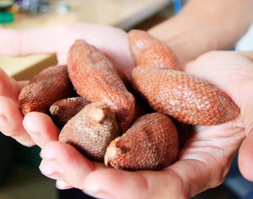 Mây Thái hút khách vì lạ - 8