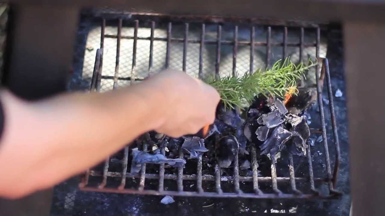 7 bí kíp sinh tồn thiết thực khi gia đình đi chơi xa - 2