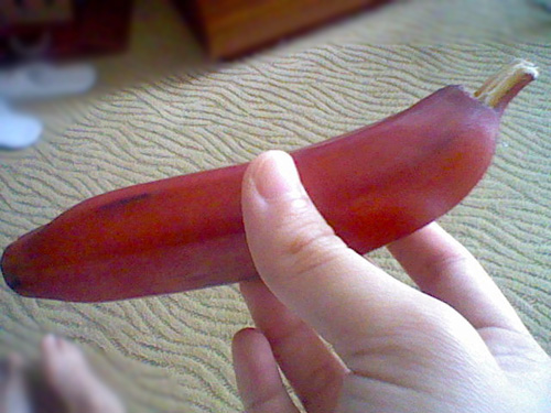 Chuối tím hồng độc lạ "sốt xình xịch" thị trường Việt - 12