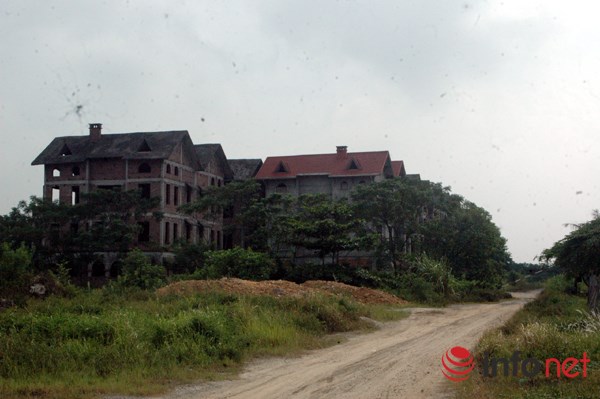 "Rừng tái sinh” bao phủ những ngôi biệt thự tiền tỷ ở Thủ đô - 1