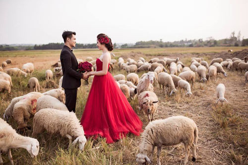 Chuyện tình của cặp đôi bao lần khóc vì nhau - 7