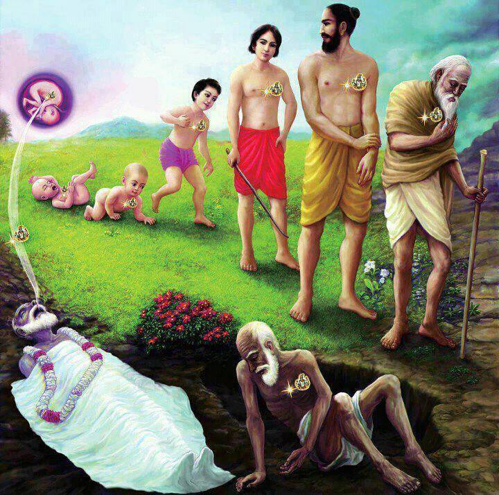 1002019_622815831111543_1045819829_n