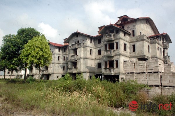 "Rừng tái sinh” bao phủ những ngôi biệt thự tiền tỷ ở Thủ đô - 11