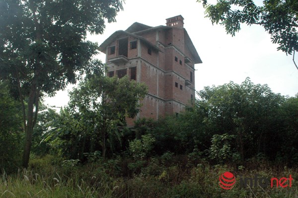 "Rừng tái sinh” bao phủ những ngôi biệt thự tiền tỷ ở Thủ đô - 5