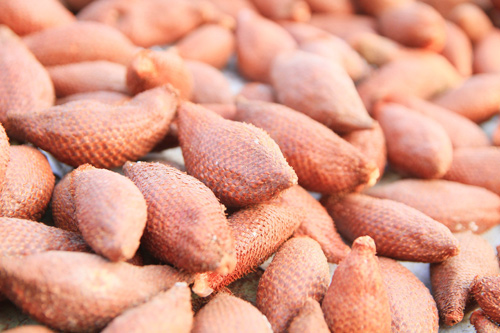 Mây Thái hút khách vì lạ - 5