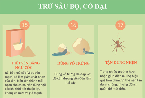 30 mẹo vặt giúp bạn làm vườn “dễ thở” hơn (phần 2) - 1