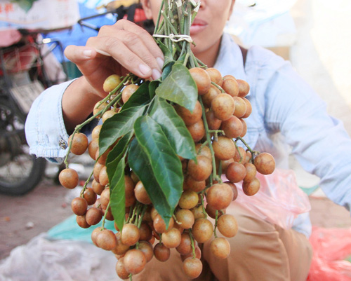 Hà Nội thơm ngon quất hồng bì - 8