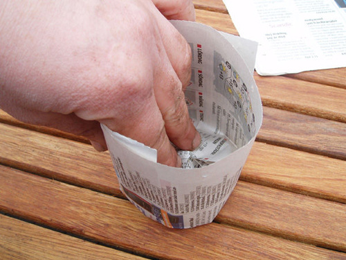 Trồng cây gieo hạt bằng giấy báo cũ thật tiện dụng - 6