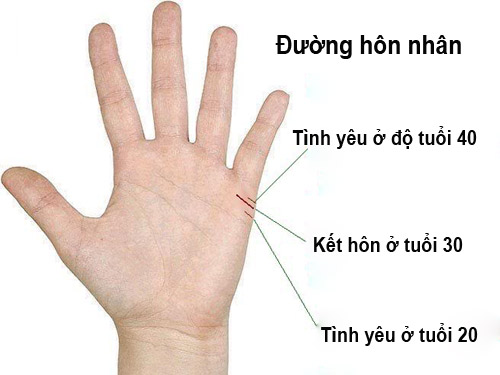 Đo tay tính độ tuổi kết hôn của bạn - 1