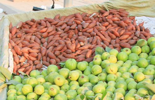 Mây Thái hút khách vì lạ - 2