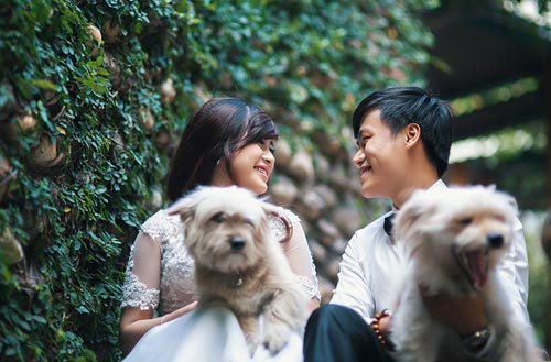 Bộ ảnh cưới với cún cưng của cặp đôi Đà Nẵng - 4
