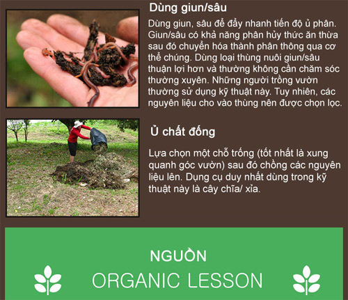 Tự làm phân hữu cơ từ rác thải trong nhà cho rau khỏe - 6