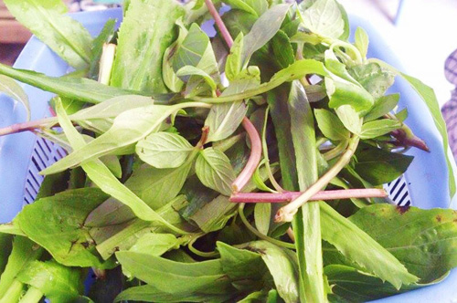 Mát trời đi ăn lẩu vịt om sấu khu Thành Công - 7