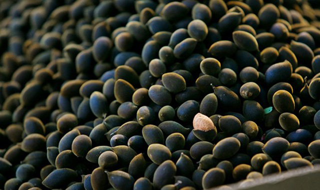 Quả lạ núi rừng tràn xuống phố "lấy lòng" chị em - 5