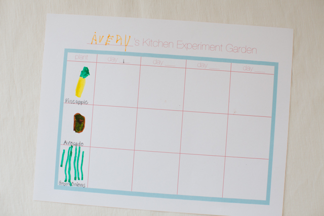 Tập trồng hành lá, dứa, bơ đơn giản trong cốc tại nhà - 2