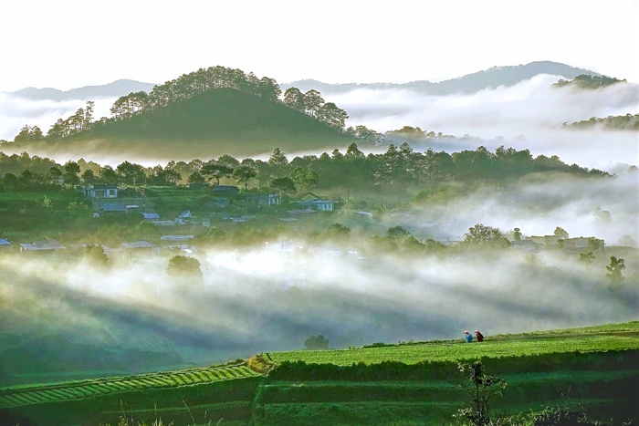 _01_suong_cao_nguyen_luu_thuan_thoi