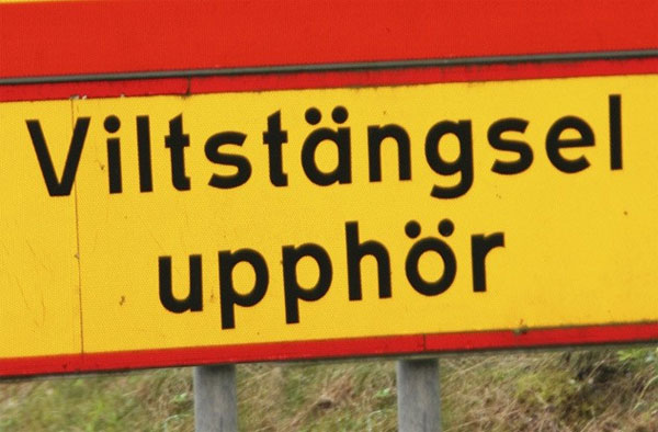 Một người phụ nữ ở Mỹ có thể nói tiếng Thụy Điển dù chưa tiếp xúc nhiều với nó. Chuyện lạ về dấu vết của kiếp luân hồi (2)